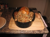 Filename=thanksgiving_stuffed_turkey.jpg
Filesize=626KB
Dimensions=965x724
Date added=Oct 25, 2010 thanksgiving_stuffed_turkey.jpg