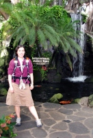 Filename=waikiki-marketplace-koi-pond.jpg
Filesize=111KB
Dimensions=460x675
Date added=Feb 13, 2008 waikiki-marketplace-koi-pond.jpg