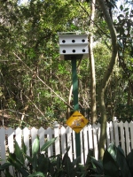 Filename=wdw_2011_animal_kingdom_conservation_station_path_wild_bird_crossing.jpg
Filesize=995KB
Dimensions=724x965
Date added=Jan 28, 2011 wdw_2011_animal_kingdom_conservation_station_path_wild_bird_crossing.jpg