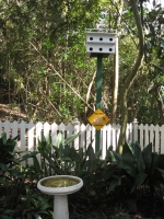 Filename=wdw_2011_animal_kingdom_conservation_station_path_wild_bird_crossing_bath.jpg
Filesize=909KB
Dimensions=724x965
Date added=Jan 28, 2011 wdw_2011_animal_kingdom_conservation_station_path_wild_bird_crossing_bath.jpg