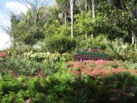 Filename=wdw_2011_animal_kingdom_conservation_station_pollination_garden.jpg
Filesize=1155KB
Dimensions=965x724
Date added=Jan 28, 2011 wdw_2011_animal_kingdom_conservation_station_pollination_garden.jpg