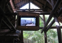 Filename=wdw_2011_animal_kingdom_kilimanjaro_safari_tv_rhino.jpg
Filesize=666KB
Dimensions=993x702
Date added=Jan 28, 2011 wdw_2011_animal_kingdom_kilimanjaro_safari_tv_rhino.jpg
