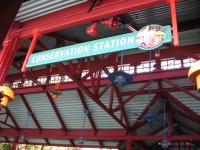 Filename=wdw_2011_animal_kingdom_wildlife_express_train_station.jpg
Filesize=699KB
Dimensions=965x724
Date added=Jan 28, 2011 wdw_2011_animal_kingdom_wildlife_express_train_station.jpg
