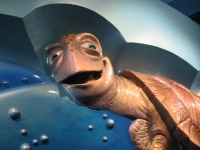 Filename=wdw_2011_epcot_nemo_crush.jpg
Filesize=560KB
Dimensions=965x724
Date added=Feb 17, 2011 wdw_2011_epcot_nemo_crush.jpg