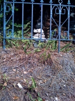 Filename=wdw_2011_magic_kingdom_haunted_mansion_graveyard_cat.jpg
Filesize=598KB
Dimensions=600x800
Date added=Jan 27, 2011 wdw_2011_magic_kingdom_haunted_mansion_graveyard_cat.jpg