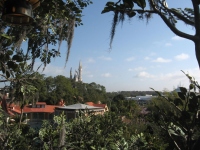 Filename=wdw_2011_magic_kingdom_swiss_familly_tree_lookout.jpg
Filesize=756KB
Dimensions=965x724
Date added=Apr 06, 2011 wdw_2011_magic_kingdom_swiss_familly_tree_lookout.jpg