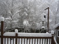 Filename=winter_wonderland_january_snow_back.jpg
Filesize=831KB
Dimensions=965x724
Date added=Jan 03, 2011 winter_wonderland_january_snow_back.jpg
