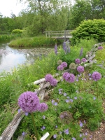 Filename=Bridge_Flowers_and_Pond.jpg
Filesize=1279KB
Dimensions=1200x1600
Date added=Jun 27, 2013 Bridge_Flowers_and_Pond.jpg