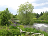 Filename=Dami_at_the_Pond.jpg
Filesize=592KB
Dimensions=1200x900
Date added=Jun 27, 2013 Dami_at_the_Pond.jpg