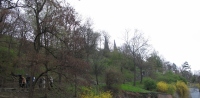 Filename=Forest_Below_Viserhad.jpg
Filesize=1231KB
Dimensions=2048x1004
Date added=Jun 27, 2013 Forest_Below_Viserhad.jpg